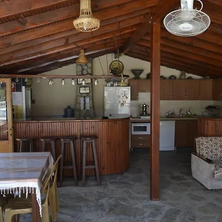 Beray Dalyan